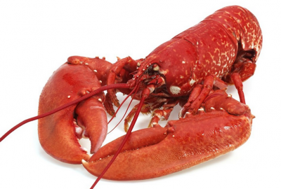 Kreeft ingredient voor bier